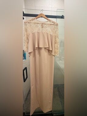 Teri Jon Blush Lace Sleeve Maxi Dress